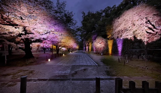 フォトギャラリーイメージ｜グランドメルキュール和歌山みなべリゾート＆スパ