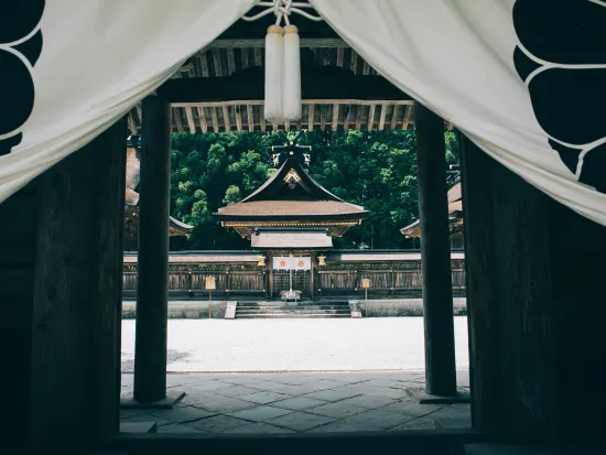 시라하마·타나베의 관광&액티비티 팔린스 랭킹을 소개