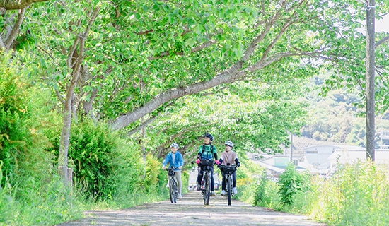 무스비 비토~세토 요코씨와 구치구마노의 절경을 E오바이로 둘러싼 사이클링