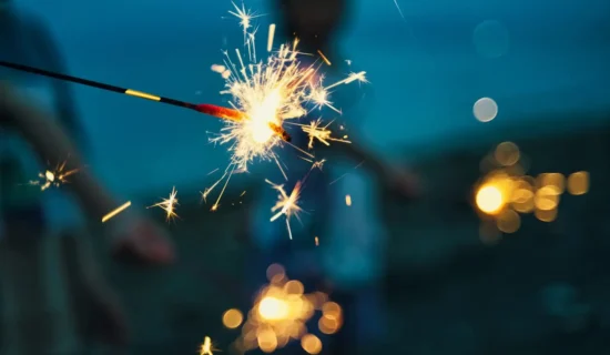 手持ち花火付きプラン